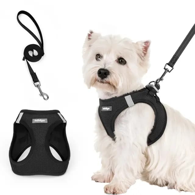 rabbitgoo Arnes Perro Pequeño con Correa Reflectante, Negro S, Chaleco Perro Ajustable Fácil de Poner, Arnes Antitirones de Malla Suave Transpirable, Arnés para Perros Pequeños Cachorros