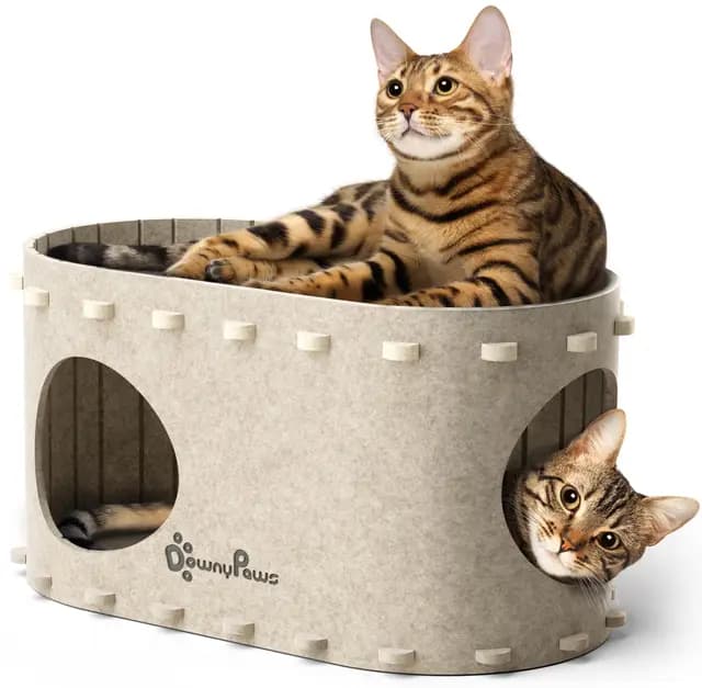 DownyPaws Cama Gato de Fieltro, Cama Gatos Cueva 2 en 1 para Descansar y Jugar, Casitas para Gatos, Robustas y Resistentes a los Arañazos, Fácil de Limpiar y Montar, Beige