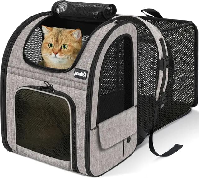 Pecute Mochila Gato<6kg Mochilas para Gatos y Perro Transportin Gato Expandible y Plegable para Viajar en Tren/automóvil/Restaurante, Azul (Ventana de Malla)