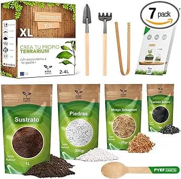 Kit Terrario Plantas DIY - Set Ecosistema Cerrado Plantas para Jardin en Botella (2-4) - Terrarium para Bosque Eterno de Interior - Sin Planta (Set sin Frasco, XL)