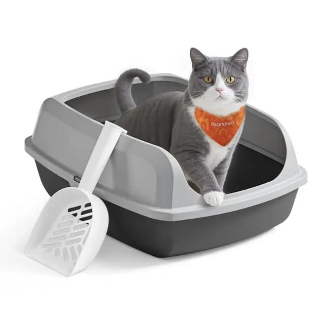 Feandrea Caja Arenero con Bordes Altos, Tamaño XL, Abierta, con Pala, para Gatitos y Gatos Grandes, Gris Pizarra PPT009GN01 – Imagen 1