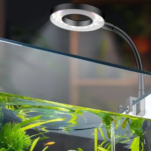 Pawfly Luz LED Acuario Clip USB 6 W Espectro Completo con Temporizador