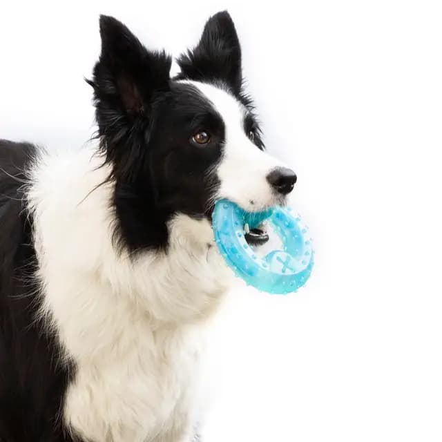 InnovaGoods® Juguetes para Perros, Mordedor Perro 2 en 1, Perros Accesorios Efecto frío, congelable con Ranura para Comida o premios Favoritos, Juguetes Perro para Cuidado Dental y Otros Beneficios.