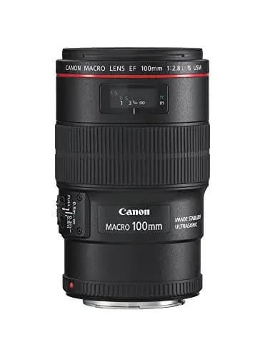Canon EF 100mm f/ 2.8L Macro IS USM - Objetivo para Canon (Distancia Focal Fija 100mm, Apertura f/2.8-32, estabilizador, diámetro: 67mm) Negro