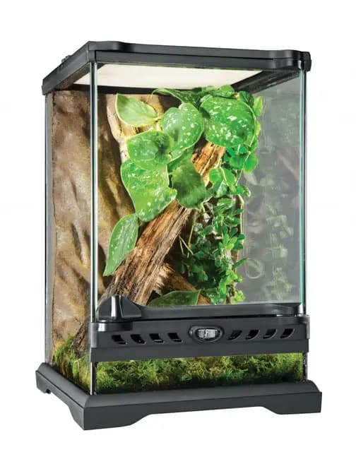 Exo Terra Terrario Nano Tall de 16 L, Vidrio, 20 x 20 x 30 cm, negro