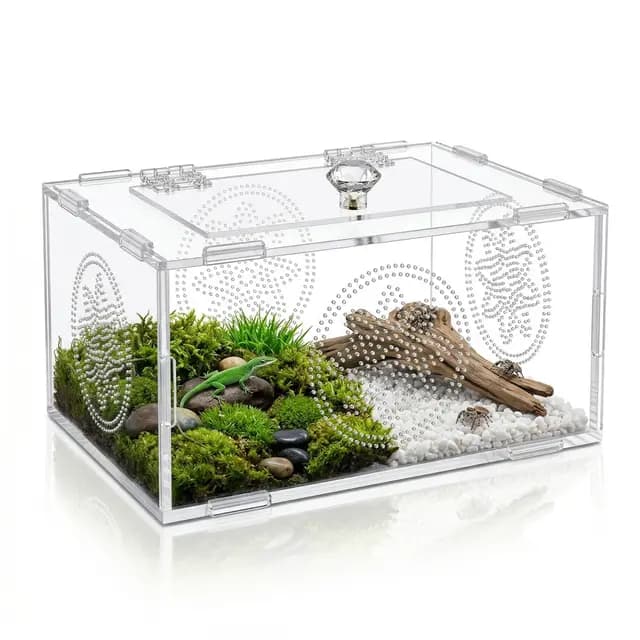 Terrario Reptiles, Acrílico para Terrario, Terrario Araña Saltarina Transparente Multiuso para Arañas, Lagartos, Ranas, Escarabajos, Reptiles, Ranas e Insectos, 20 x 15 x 10 cm
