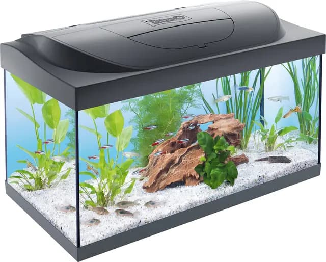 Tetra Starter Line LED 54L Acuario de inicio grande, bombilla LED con modo luz diurna/nocturna