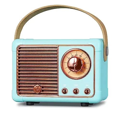 PRUNUS J-999 Mini Altavoz Bluetooth con Radio FM, Radio Vintage Retro con Bateria Recargable, Soporte TF Card/AUX/USB, Bluetooth 5.0, para la Decoración del Hogar, Regalo(Azul)