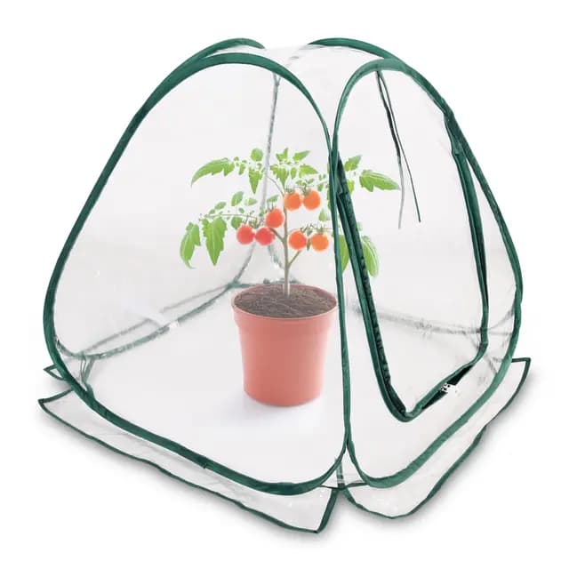 Mini láminas emergentes de invernadero de 60 x 60 cm – Pequeño invernadero para verduras, flores y hongos – Tienda de invierno de PVC transparente para plantas – No requiere montaje