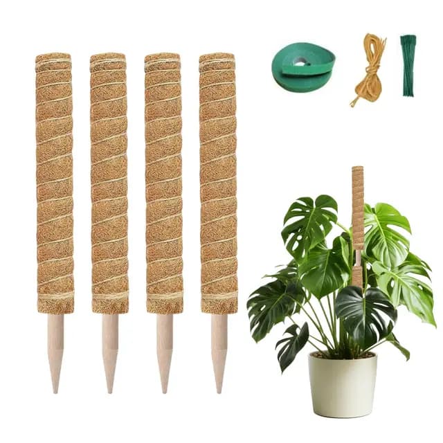 Tutores para Plantas Monstera, 4 Piezas 40cm en Fibra de Coco, con 2m de Cuerda, 2m Velcro y 20 Bridas, Apilables y Extraíbles, Soporte para Plantas Trepadoras (4)