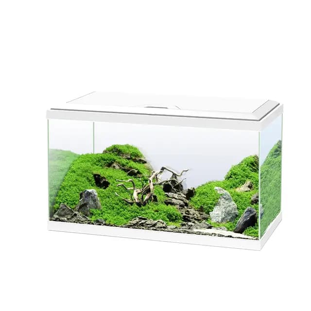 Ciano, Acuario 60 Blanco, para Peces, Equipado con Filtro, consumibles, LED y calefacción, 58L, Embalaje Reforzado para envío Web