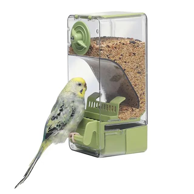 Comedero automático para pájaros, comedero para Jaula de pájaros con Percha para Periquito, Canario, cacatúa, pinzón (Verde)
