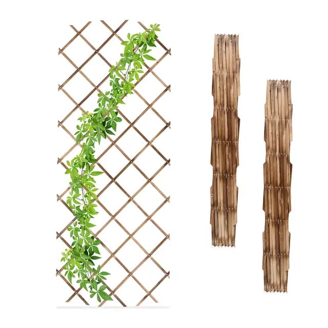 Relaxdays Set 3 Guías Plantas Trepadoras, Celosías Extensibles, Enrejado Enredaderas Pared, 180x90 cm, Madera, Natural