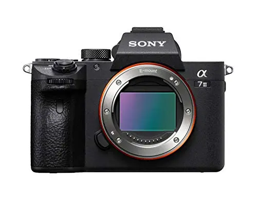 Sony Alpha 7 III cámara mirrorless (full-frame) de 24.2MP, 10 fps, estabilización de 5 ejes y autoenfoque rápido, ideal para fotografía profesional y grabación de vídeo en 4K, Negro