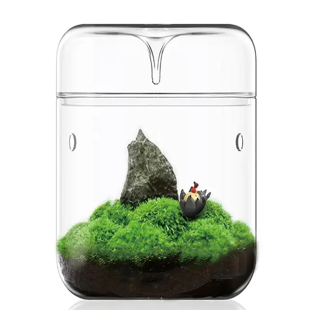 lingting terrario cristal suculentas