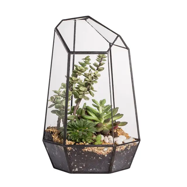 ncyp terrario prisma de cristal