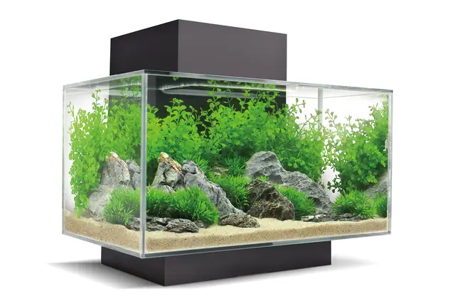 fluval edge nano acuario 23l