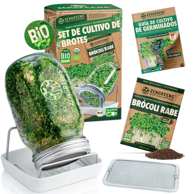 zengreens kit cultivo brotes bio