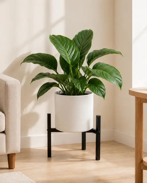 bamworld soporte plantas ajustable