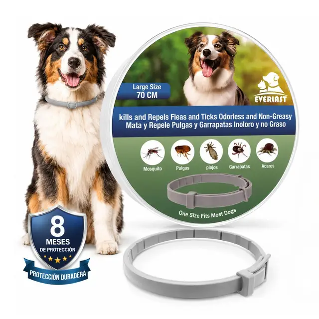 Collar Antiparasitario para Perros y Gatos - Protección contra Pulgas, Garrapatas y Mosquitos hasta 8 Meses - Impermeable, Ajustable y Cómodo (1, Gris, 72CM)