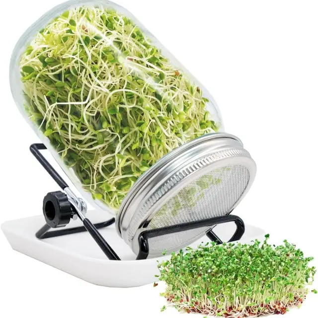frogetu fyg-dzj kit germinador