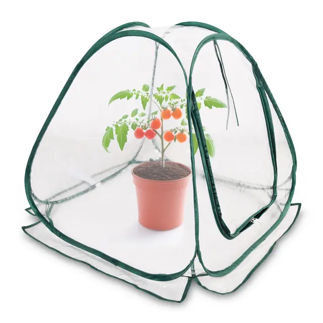 Mini láminas emergentes de invernadero de 60 x 60 cm – Pequeño invernadero para verduras, flores y hongos – Tienda de invierno de PVC transparente para plantas – No requiere montaje