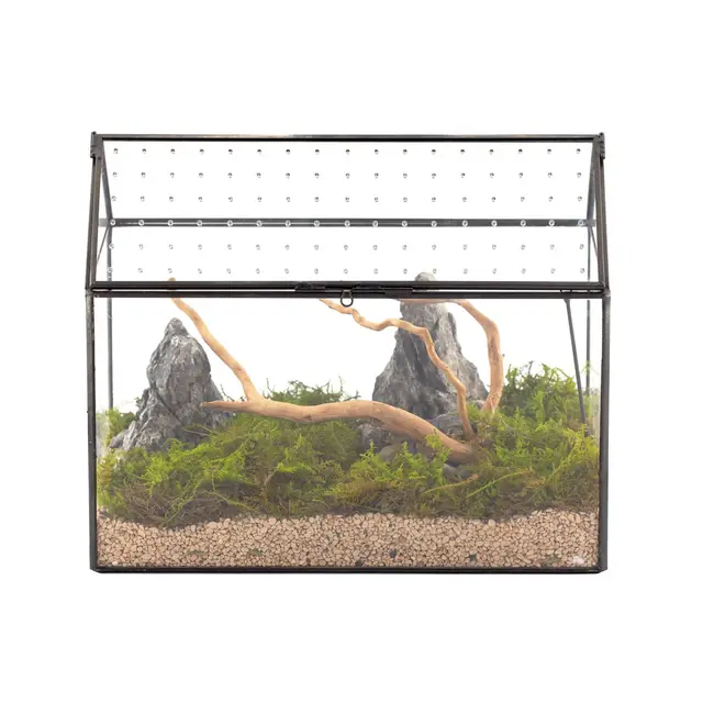 ncyp terrario casa geométrico 26cm