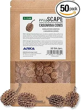 arka myscape conos de casuarina 50 uds