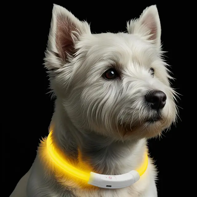 aygoym led recortable perro