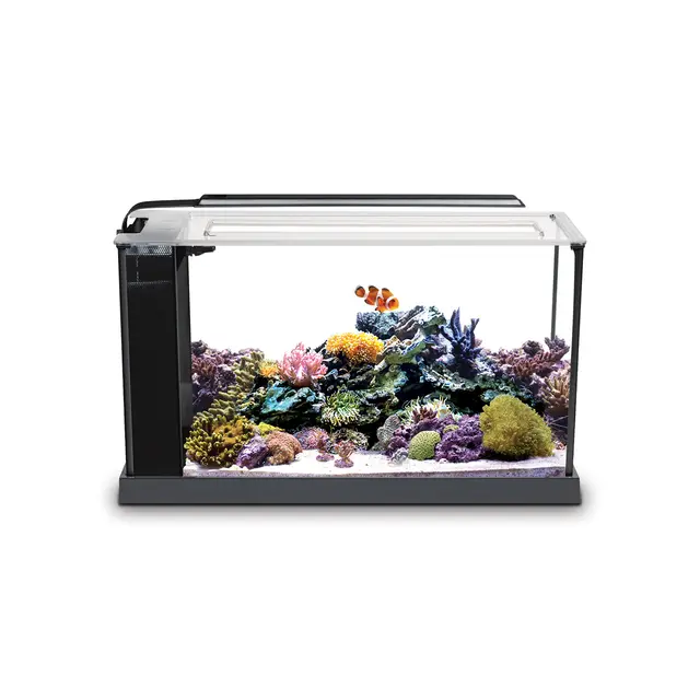 fluval evo acuario marino negro 19l