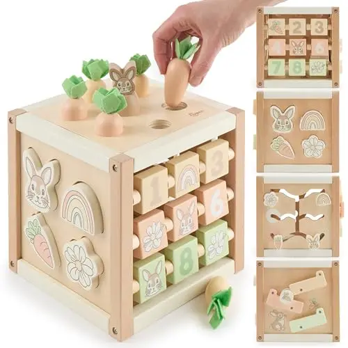 bieco hase fine cubo de actividades