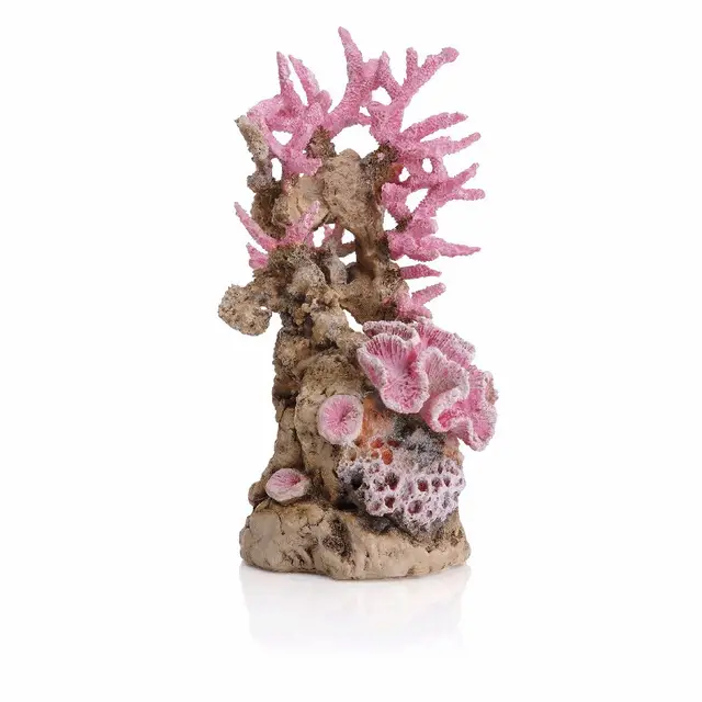 oase biorb arrecife de coral rosa