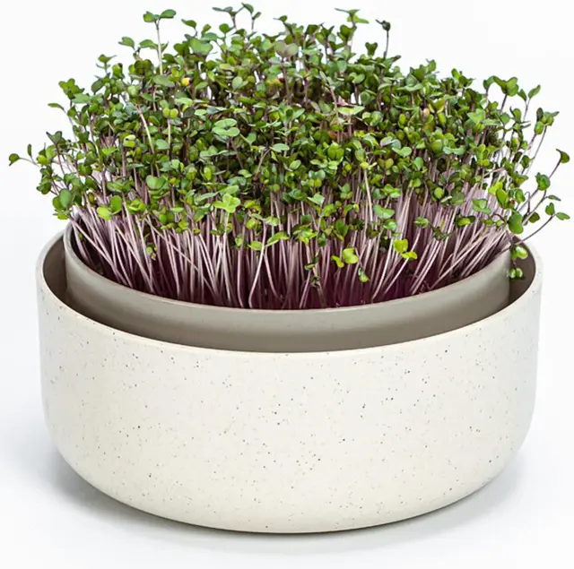plastia urbalive cuenco germinador 16cm