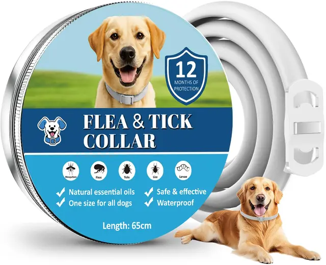 Collar Antiparasitario Perros, hasta 12 Meses de Protección Prolongada, Collar Antipulgas y Garrapatas con Aceites Esenciales Naturales, 65 cm Ajustable Impermeable para Todos los Perros