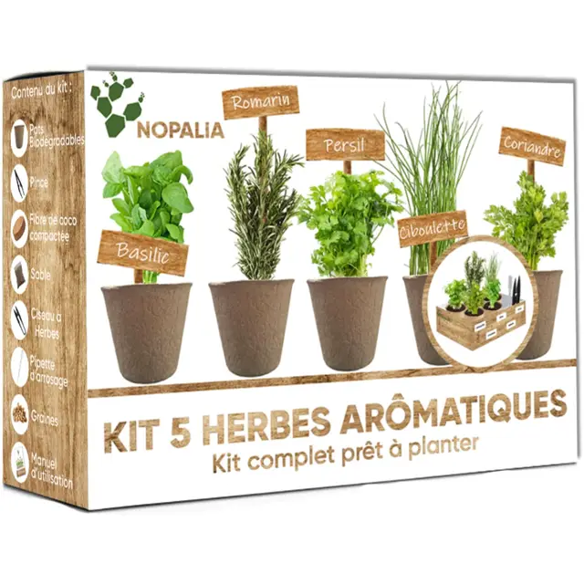 NOPALIA® Kit Hierbas Aromáticas – Albahaca, Cilantro, Perejil, Romero, Cebollino – Macetas Biodegradables, Tijeras y Accesorios – Regalo Jardinería y Cocina – Huerto Urbano Interior