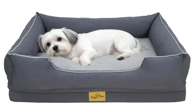 BingoPaw Cama Perro Ortopédica Mediano 77x63x18cm, Cama Perros Medianos con Superficie Impermeable y Lavable, Sofá Perro con Funda Desenfundable y Fondo Antideslizante, Gris