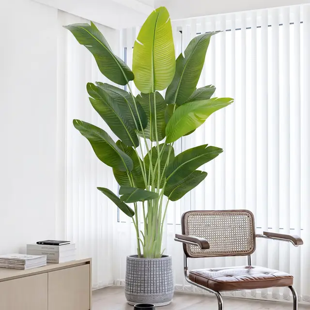 keeplush ave del paraíso 200 cm planta