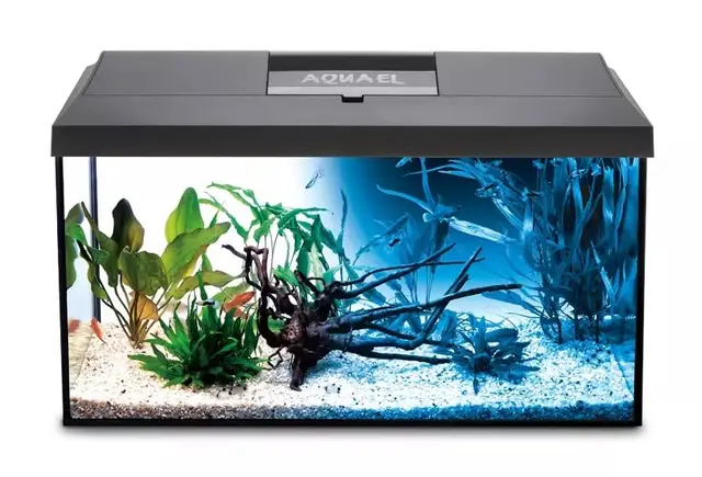 aquael leddy 60 acuario completo