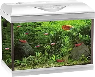 amtra basic 60 led acuario completo 65l