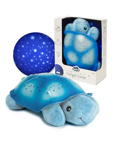 cloud b tortuga