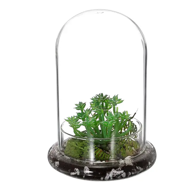 oganazi mini terrario cristal 14.5x21cm