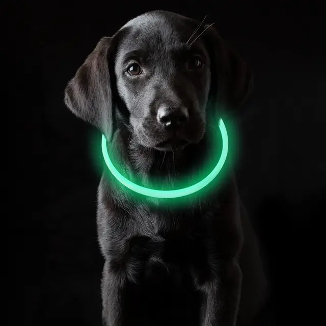 coolzon collar luminoso recargable