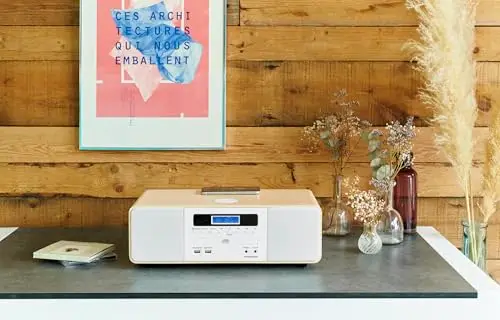 Thomson MIC201IBT - Microcadena cd bluetooth, compacta HiFi, cargador por inducción, radio FM, reproductor cd, USB reproductor, puerto de carga USB, toma auricular, AUX-IN, 50W, mando a distancia.