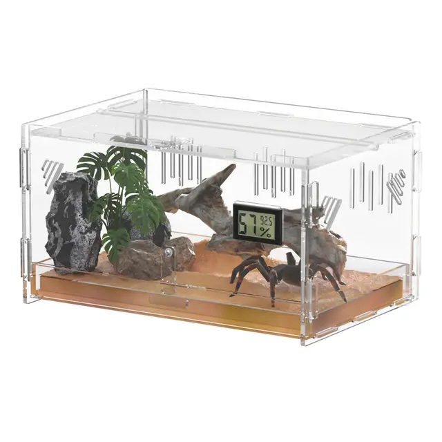 giznzg terrario 30x20x15cm