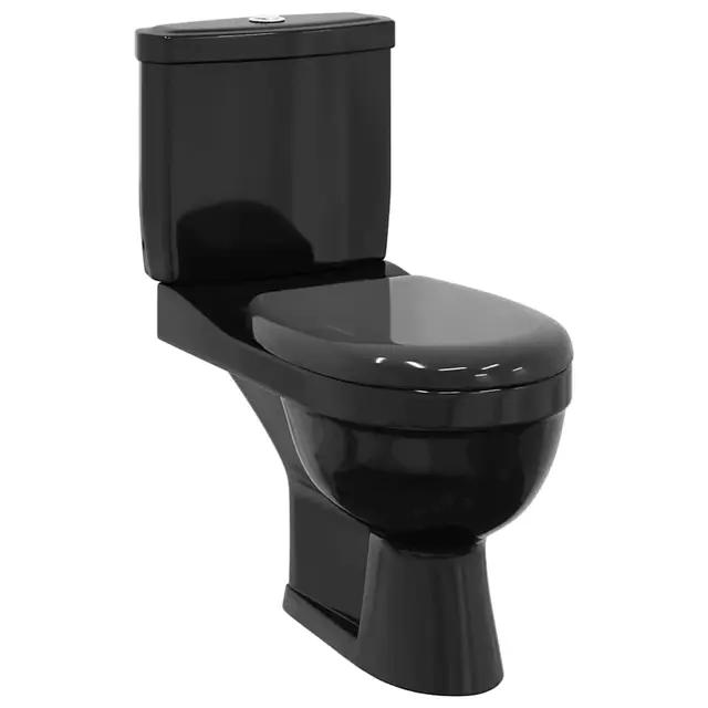 vidaXL Inodoro de Suelo con Cisterna 1 Pieza Cerámico Negro Váter WC Retrete
