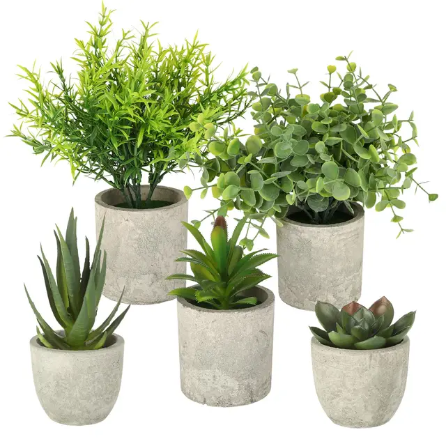 creszzle set 5 plantas artificiales