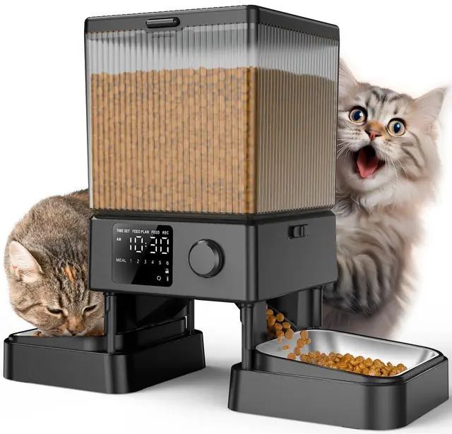 oneisall Comedero Automático para Gatos 5L, 2 Tazones, Acero Inoxidable, Grabadora de Voz, Negro