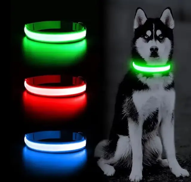 molyca collar led recargable usb