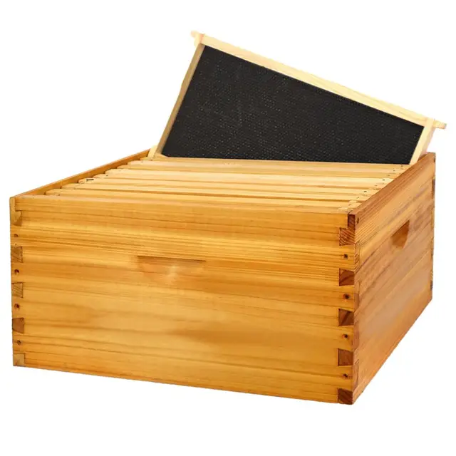 beeinn 10f-deep langstroth cera