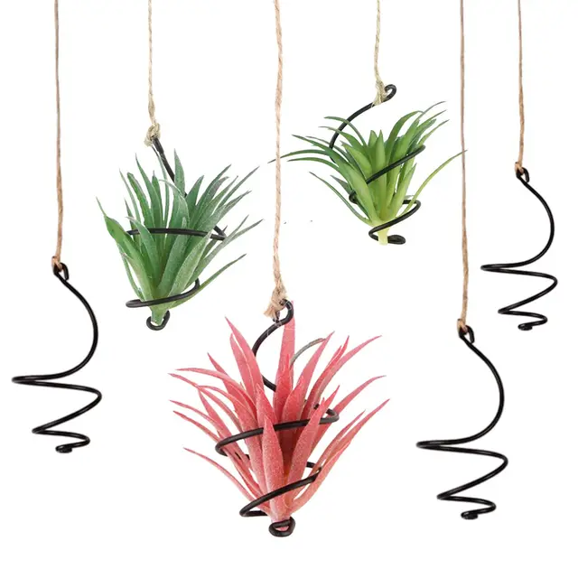 muorruo soportes colgantes plantas aire